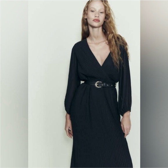 Pleated Zara Dress - Picture 3 of 7